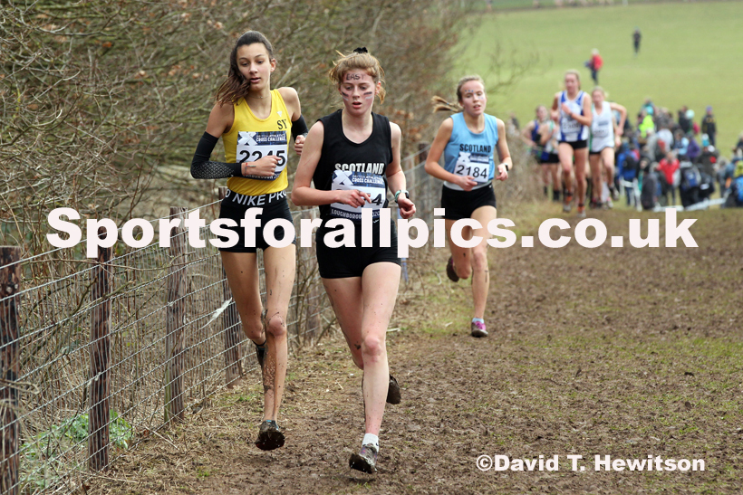 Womens under-17s, 2020 British Athletics Inter Counties Cross Country Champs., Prestwold Hall, Loughborough. Photo: David T. Hewitson/Sports for All Pics